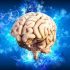 Les avantages des jeux d’entraînement cérébral